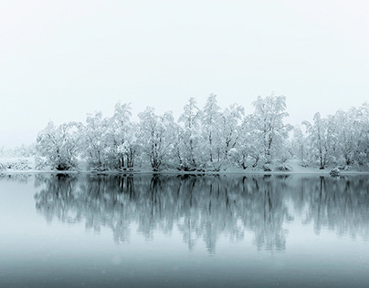 Названы самые популярные автомобили в Подмосковье