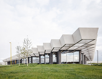 Будут ездить за половину стоимости: РЖД ввело 50% скидки на билет - как и на кого будет действовать льгота