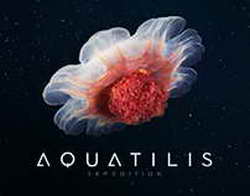 Один повербанк вместо пачки зарядок для iPhone, Apple Watch и ноутбука. Обзор новинки от UGREEN