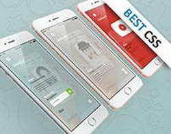 Чемпионат России. Спартак уступил Краснодару, Зенит проиграл Родине, Динамо победило Махачкалу