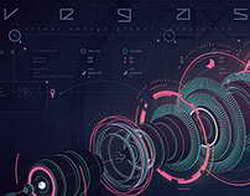 Китай решил отправить двух панд в зоопарк Атланты в США
