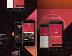 В Fix Price все проходят мимо этих подносов, а я беру сразу несколько: на даче им нашлось неожиданное применение